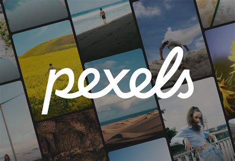 pexel videos|Best free stock video site of 2024